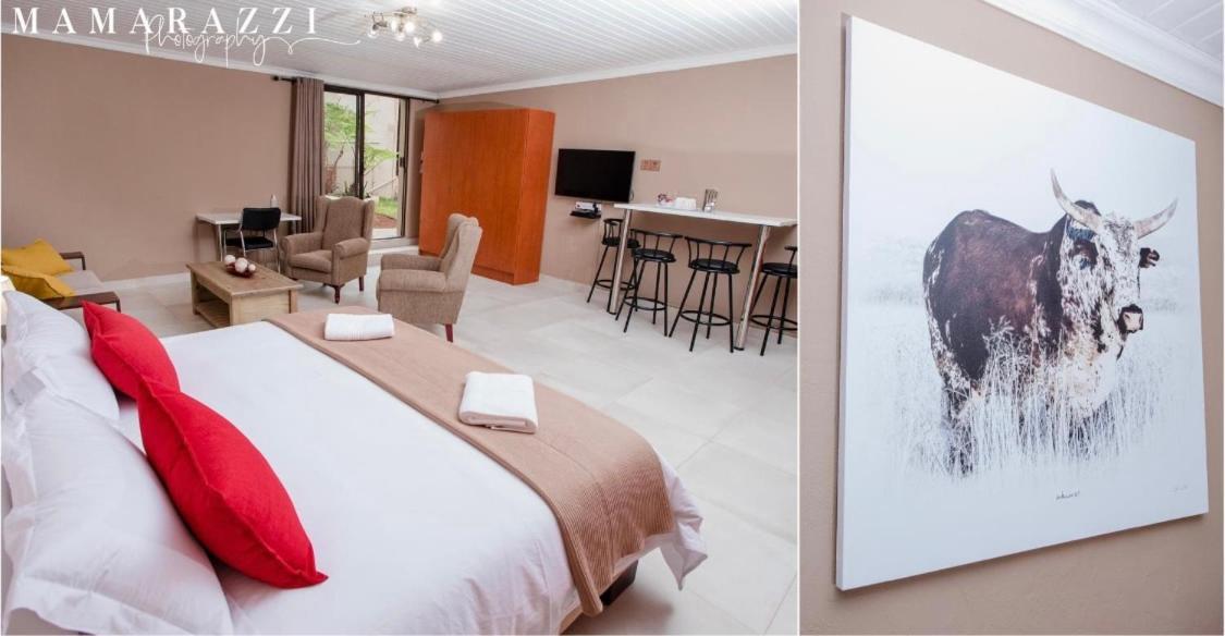 4 Gazelle Guesthouse ネルスプロイト エクステリア 写真