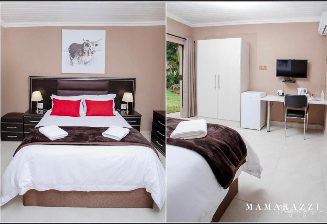 4 Gazelle Guesthouse ネルスプロイト エクステリア 写真